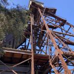 OTRA_2024_norris_017 (May 24, 2024)